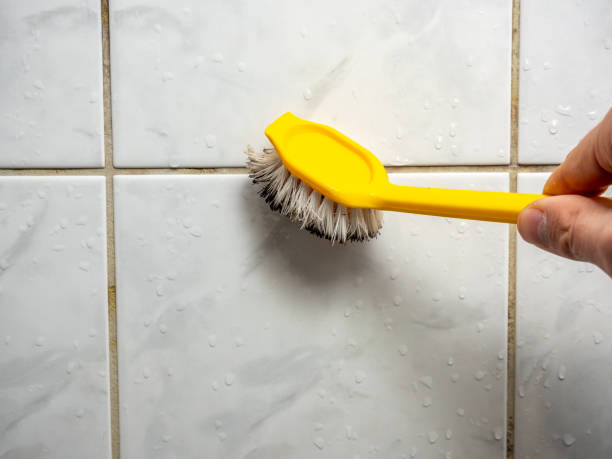 Best Bathroom Mold Remediation in Mexia, TX