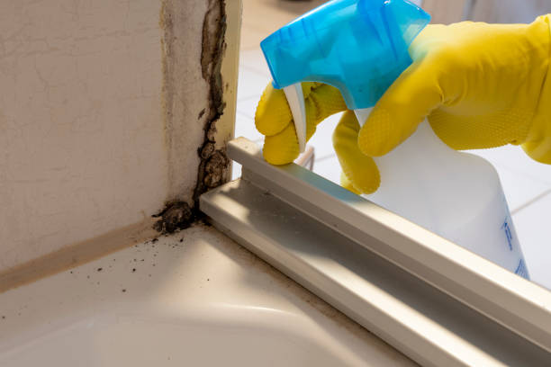 Best Industrial Mold Remediation in Mexia, TX
